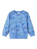 Name it PRINTED SWEATSHIRT, Ebb And Flow, highres - 13217312_EbbAndFlow_001.jpg