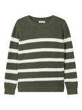 Name it PULLOVER A MAGLIA, Thyme, highres - 13180400_Thyme_001.jpg