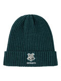 Name it HARRY POTTER GORRO, Sea Moss, highres - 13210597_SeaMoss_001.jpg