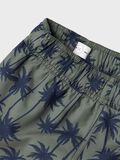 name it PRINT ZWEMSHORTS, Dusty Olive, highres - 13213886_DustyOlive_005.jpg