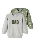 Name it 2-PACK SWEATSHIRT, Agave Green, highres - 13197230_AgaveGreen_001.jpg