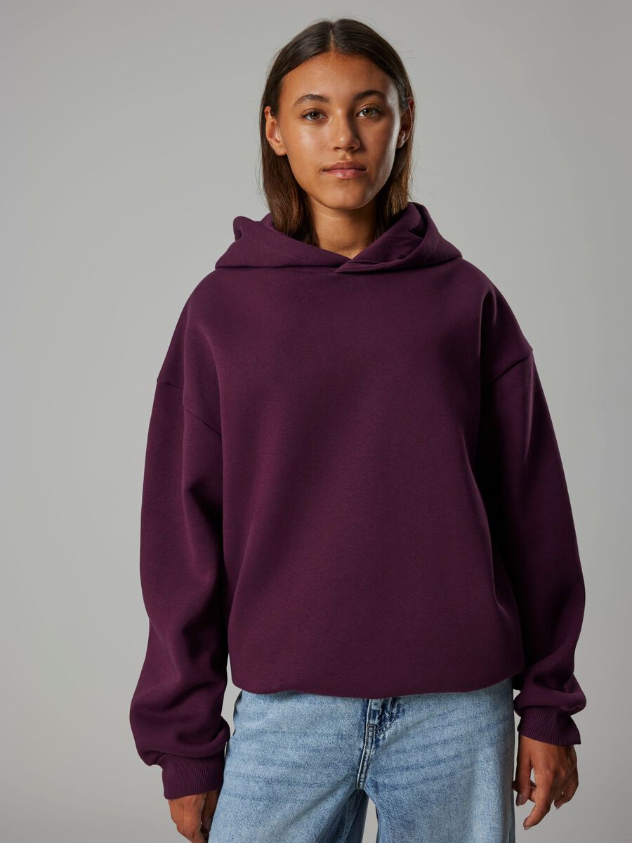 Product carousel image - LOOSE FIT HOODIE, Fig | 1