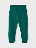 Name it REGULAR FIT SWEATPANTS, Forest Biome, highres - 13212868_ForestBiome_002.jpg