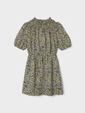 Name it PRINTED DRESS, Lint, highres - 13218744_Lint_003.jpg