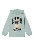 Name it NORMAL PASSFORM HOODIE, Surf Spray, highres - 13210255_SurfSpray_001.jpg