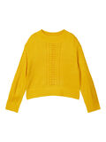 Name it PERFORATED CABLE KNITTED JUMPER, Spicy Mustard, highres - 13183004_SpicyMustard_001.jpg