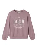 name it BIO-BAUMWOLL SWEATSHIRT, Elderberry, highres - 13238914_Elderberry_001.jpg
