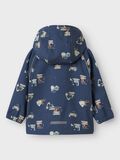 name it ALFA08 SOFTSHELL JAS, Sargasso Sea, highres - 13239085_SargassoSea_1184325_002.jpg