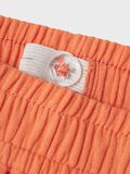 name it KORT SHORTS, Fresh Salmon, highres - 13238024_FreshSalmon_005.jpg