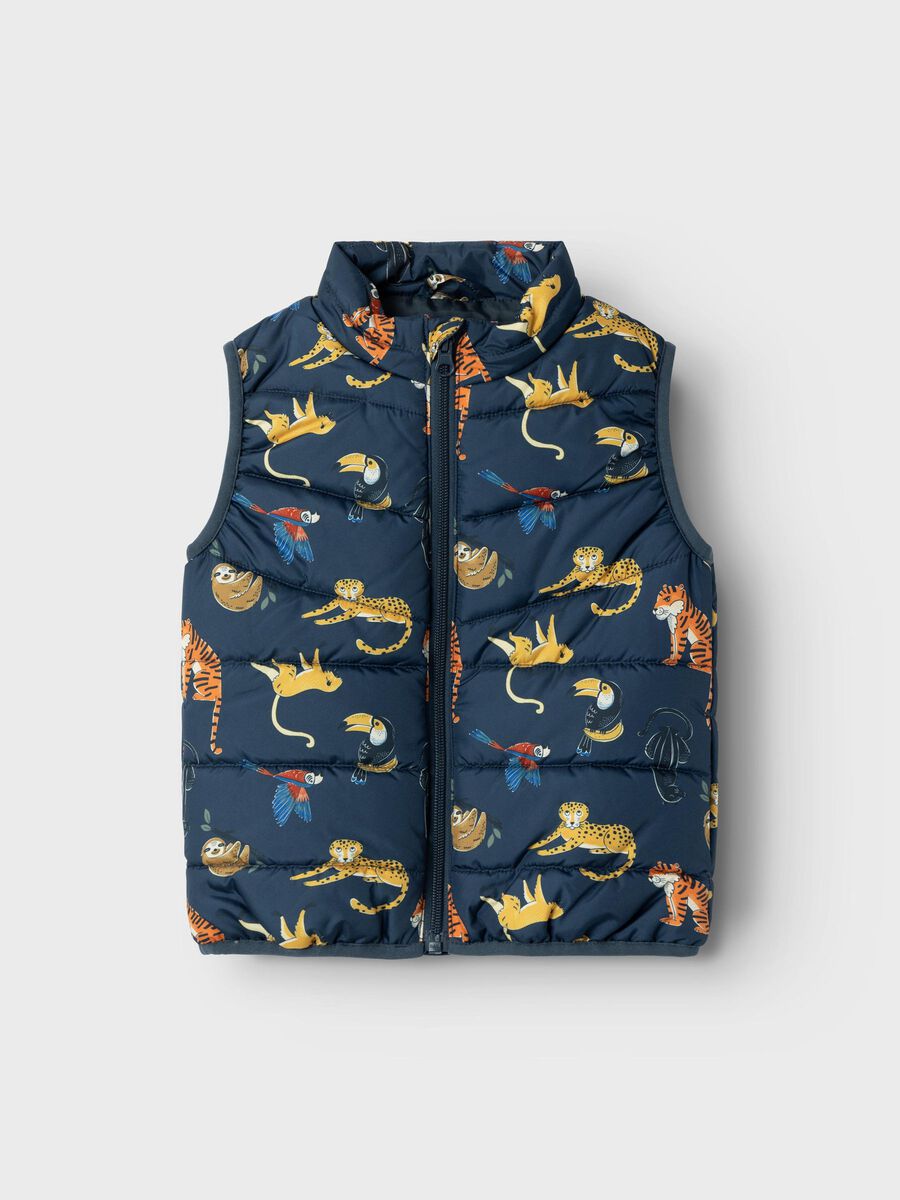 name it DYR VEST, Big Dipper, highres - 13224783_BigDipper_003.jpg