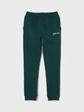 Name it NEW YORK SWEATPANTS, Forest Biome, highres - 13213919_ForestBiome_003.jpg