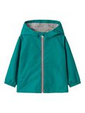 name it TRANSITIONAL JACKET, Shady Glade, highres - 13237483_ShadyGlade_001.jpg