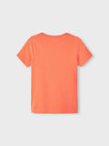 Name it T-SHIRT, Coral, highres - 13215757_Coral_002.jpg