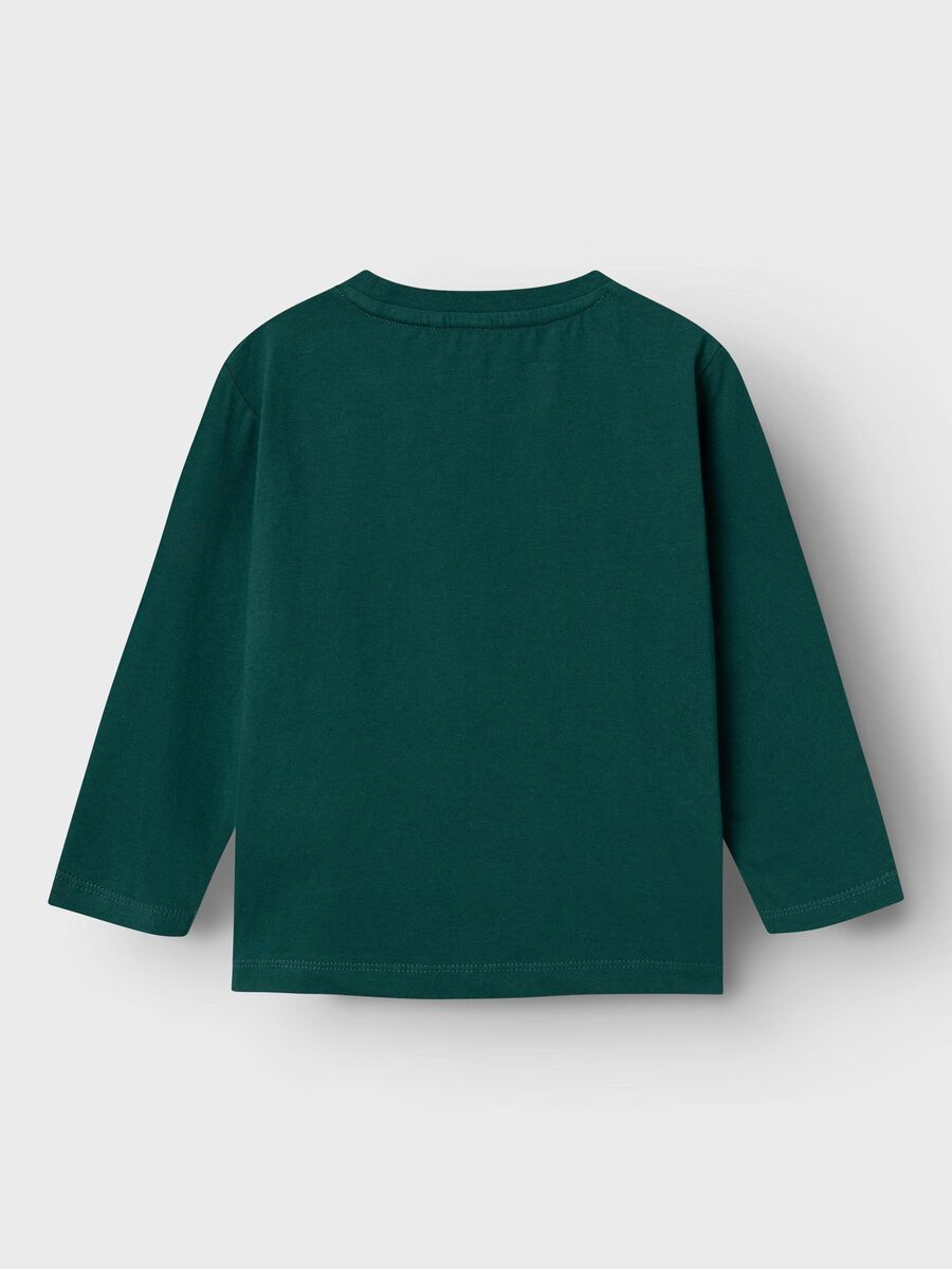 name it CHRISTMAS LONG SLEEVED TOP, Botanical Garden, highres - 13234532_BotanicalGarden_002.jpg