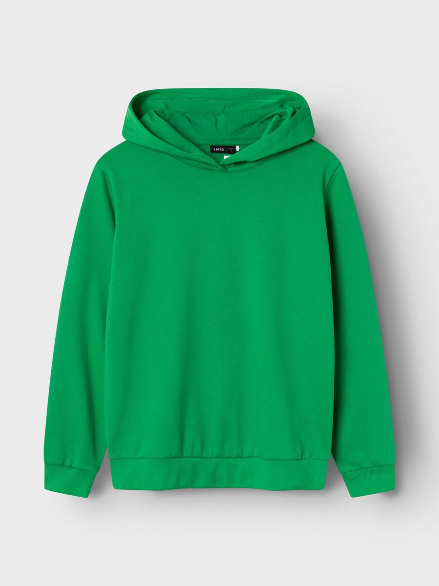 Name it NBA SWEAT-SHIRT, Green Bee, highres - 13230901_GreenBee_002.jpg