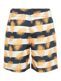 name it LANG STRIPETE BADESHORTS, Strong Blue, highres - 13163085_StrongBlue_002.jpg