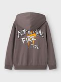name it POKÉMON HOODIE, Castlerock, highres - 13236240_Castlerock_002.jpg