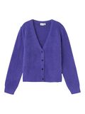 name it LONG SLEEVED KNITTED CARDIGAN, Purple Opulence, highres - 13235456_PurpleOpulence_001.jpg