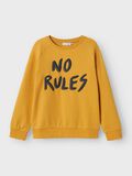 name it COUPE CLASSIQUE SWEAT-SHIRT, Narcissus, highres - 13231402_Narcissus_1120855_003.jpg