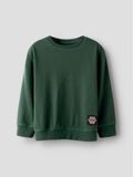name it ORGANIC COTTON T-SHIRT, Deep Forest, highres - 13253025_DeepForest_003.jpg