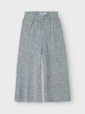 name it WIJDE PIJPEN BROEK, Aqua Gray, highres - 13242654_AquaGray_1185153_003.jpg
