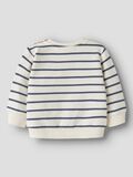 Product image thumbnail 2 ORGANIC COTTON SWEATSHIRT, Antique White