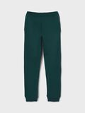 Name it NEW YORK SWEATPANTS, Forest Biome, highres - 13213919_ForestBiome_002.jpg