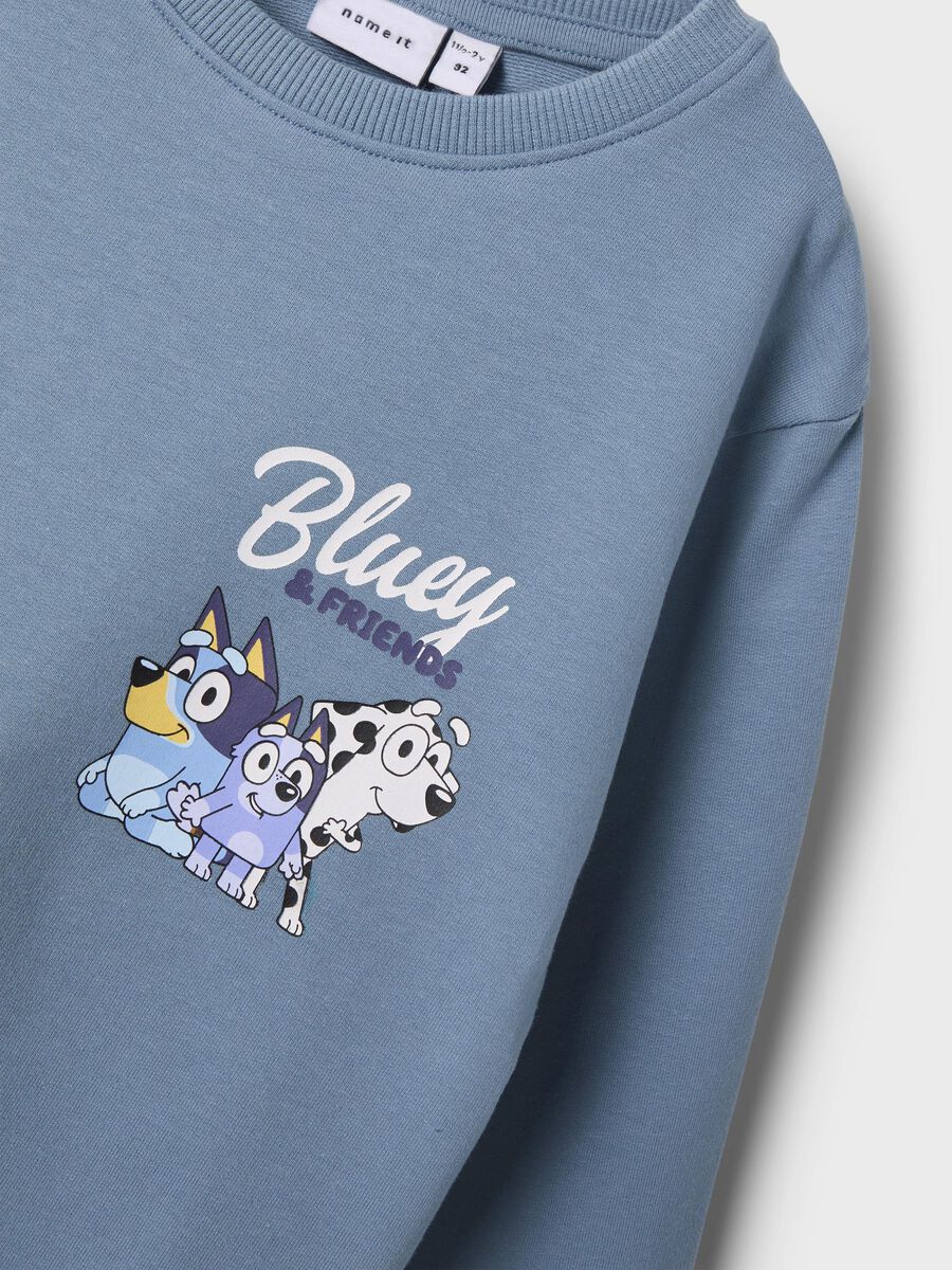 name it BLUEY SWEATSHIRT, Spring Lake, highres - 13247775_SpringLake_005.jpg