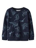 name it PRINT SWEATSHIRT, Dark Sapphire, highres - 13238737_DarkSapphire_001.jpg