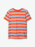 Name it STRIPED T-SHIRT, Nasturtium, highres - 13177110_Nasturtium_003.jpg