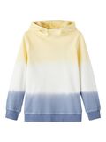 Name it DYE HOODIE, Wild Wind, highres - 13206166_WildWind_001.jpg