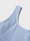 name it RIB BIKINI, Brunnera Blue, highres - 13232807_BrunneraBlue_005.jpg