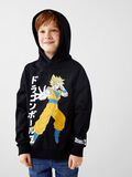 name it DRAGON BALL HOODIE, Black, highres - 13219259_Black_008.jpg