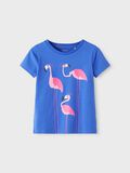 Product image thumbnail - FLAMINGO T-SHIRT, Dazzling Blue | 1