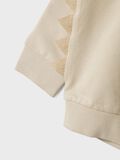 name it JURASSIC PARK SWEATSHIRT, Peyote, highres - 13244988_Peyote_005.jpg