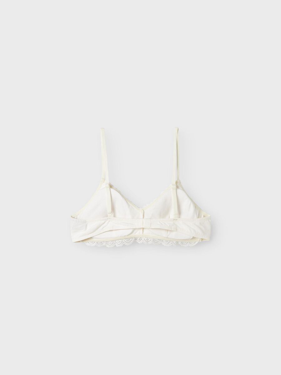 name it TEKSTUURILLISET BRALETTE-RINTALIIVIT, White Alyssum, highres - 13244108_WhiteAlyssum_002.jpg
