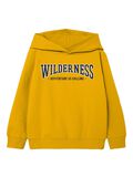 Name it REGULAR FIT HOODIE, Daylily, highres - 13206621_Daylily_001.jpg