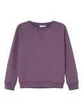 name it BLUZA SPORTOWA, Arctic Dusk, highres - 13220221_ArcticDusk_001.jpg