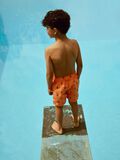 name it PRINT ZWEMSHORTS, Bird of Paradise, highres - 13213886_BirdofParadise_008.jpg