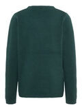 Name it TIGRE BRODÉ PULLOVER, Green Gables, highres - 13167342_GreenGables_002.jpg