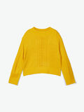 Name it PERFORATED CABLE KNITTED JUMPER, Spicy Mustard, highres - 13183004_SpicyMustard_003.jpg