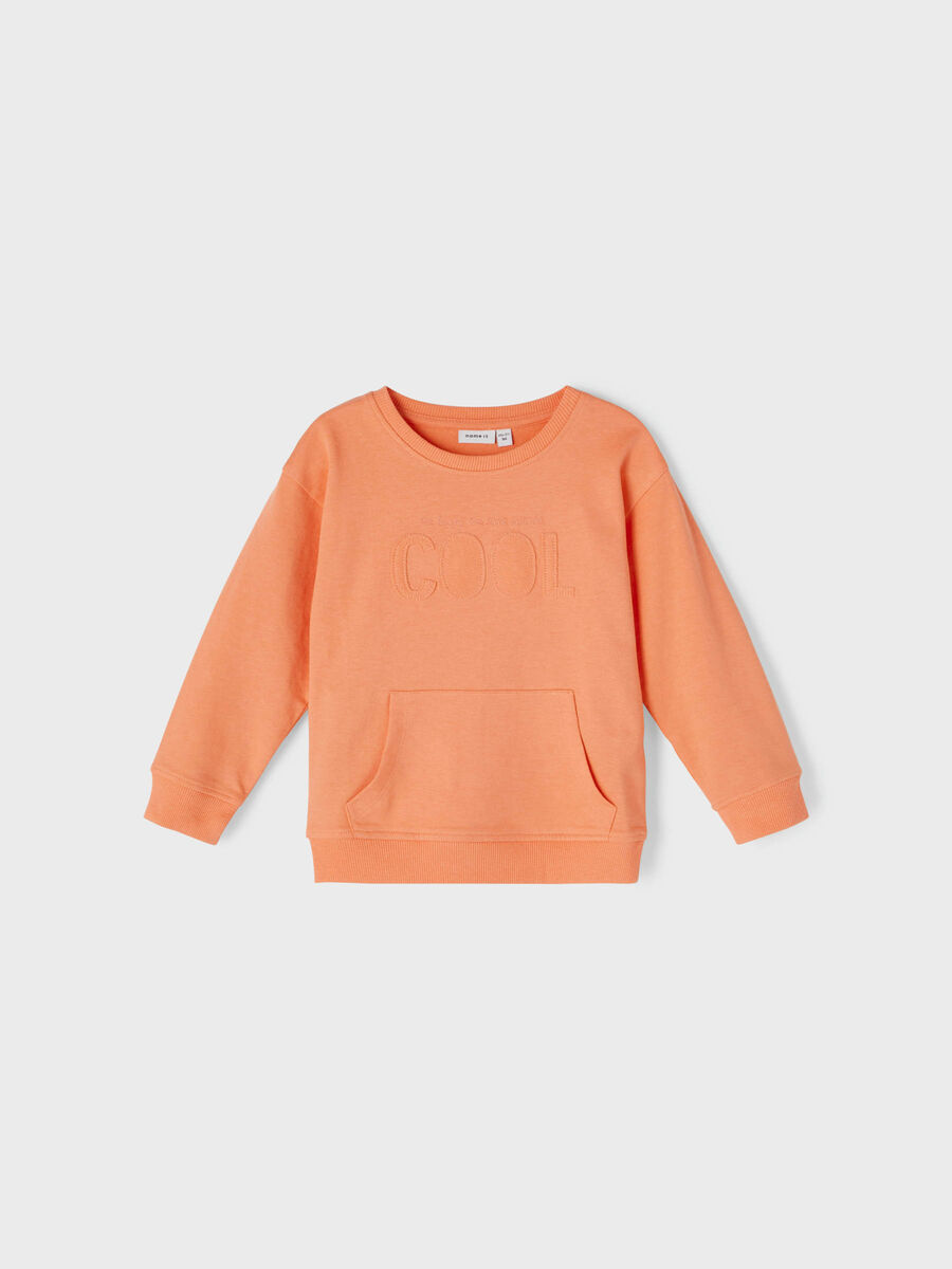 name it COOLT TRYCK SWEATSHIRT, Peach Echo, highres - 13201175_PeachEcho_003.jpg