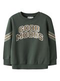 name it REGULAR FIT SWEATSHIRT, Garden Topiary, highres - 13245348_GardenTopiary_001.jpg