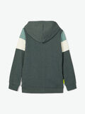 name it BLUZA Z KAPTUREM ZAPINANA NA ZAMEK, Darkest Spruce, highres - 13180041_DarkestSpruce_004.jpg