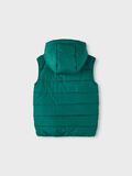 Name it GILET, Forest Biome, highres - 13211840_ForestBiome_002.jpg
