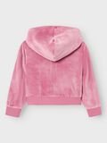 name it CARDIGAN, Mauve Orchid, highres - 13236383_MauveOrchid_002.jpg