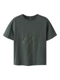 name it ORGANIC COTTON T-SHIRT, Garden Topiary, highres - 13244933_GardenTopiary_001.jpg