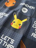 Product image thumbnail - POKEMON TOP, Vintage Indigo | 3