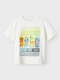 name it POKEMON T-SHIRT, Cloud Dancer, highres - 13240869_CloudDancer_003.jpg