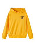 Name it BOXY FIT HOODIE, Daylily, highres - 13207196_Daylily_001.jpg